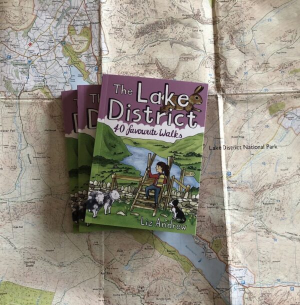 Picture of a book for sale - The Lake District, 40 Popular Walks by Liz Andrew